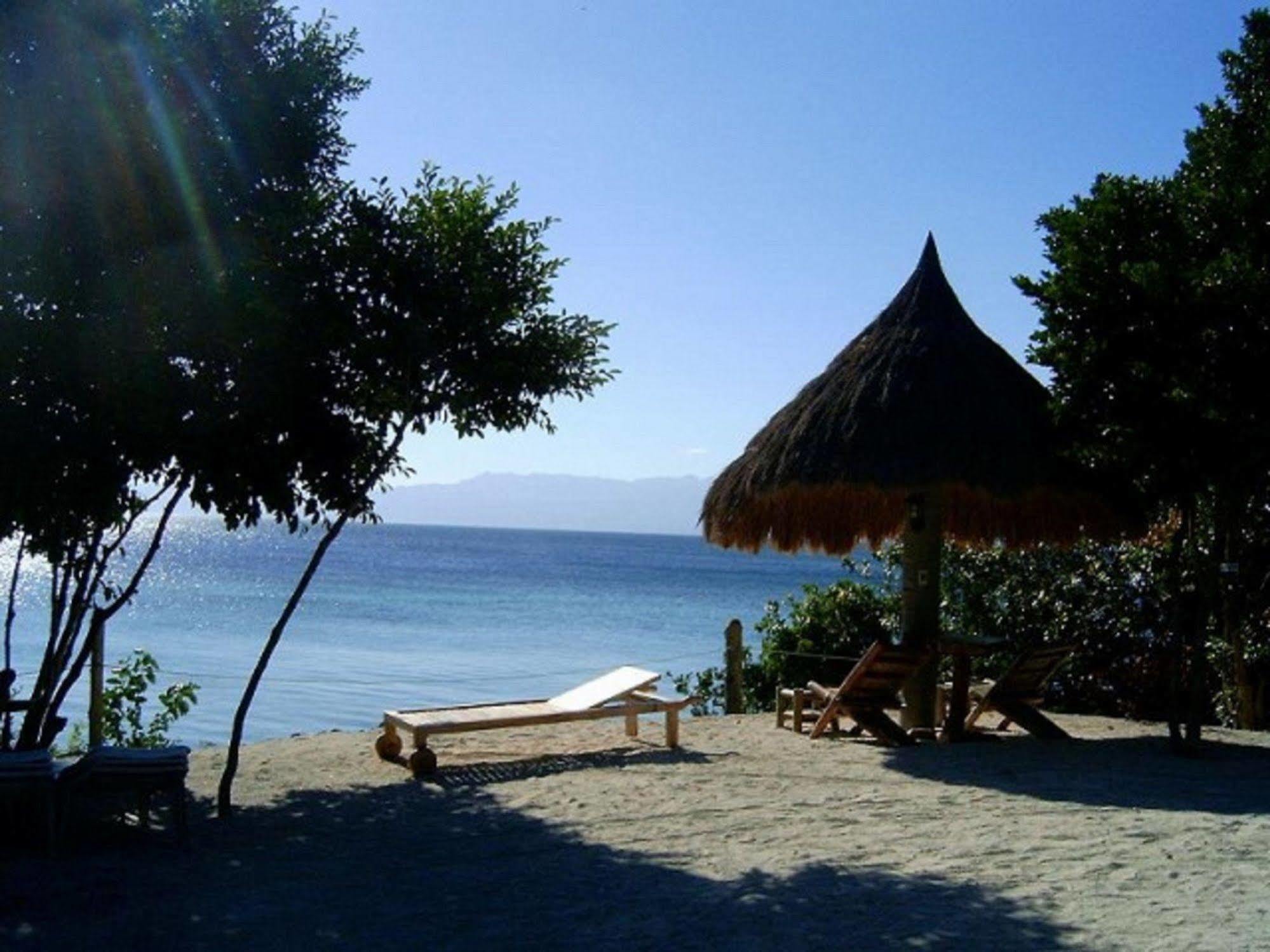 מלון Sea Turtle House מואלבואל מראה חיצוני תמונה