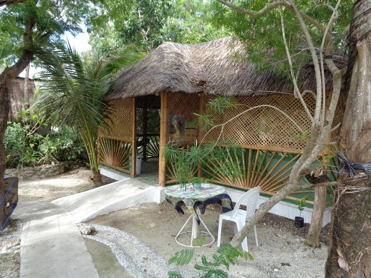 מלון Sea Turtle House מואלבואל מראה חיצוני תמונה